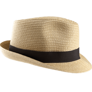 Chapeau Panama